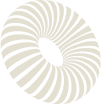 section-shape